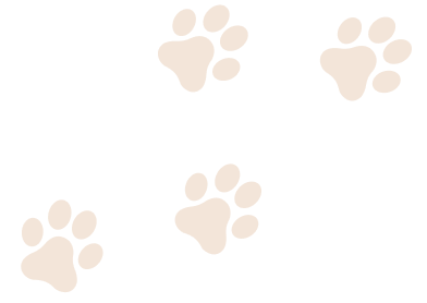 Center Paw