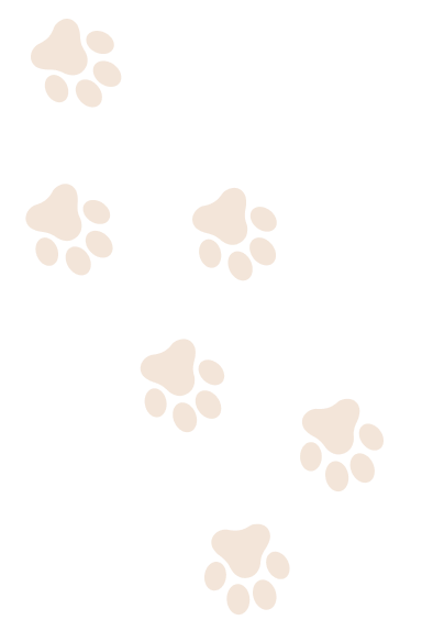 Accent Paw